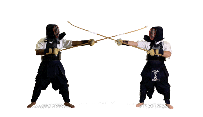 Chicago Naginata Kai – Atarashii Naginata & Tendo-ryu Naginatajutsu