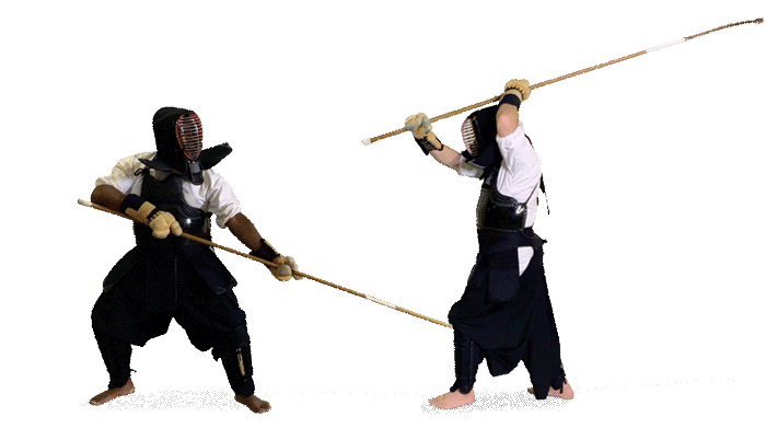 Chicago Naginata Kai – Atarashii Naginata & Tendo-ryu Naginatajutsu